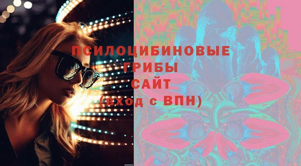 дмт Протвино
