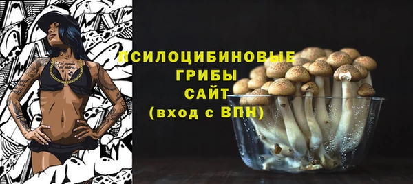 сатива Абдулино