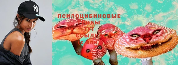 гидра Приозерск