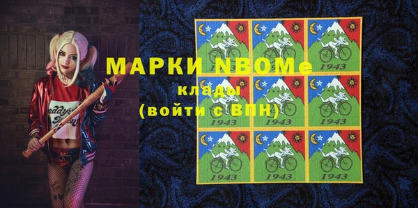 мдпв Каменногорск