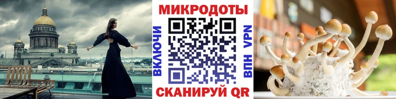 мега как зайти  купить наркотики сайты  Южа  Псилоцибиновые грибы мицелий 